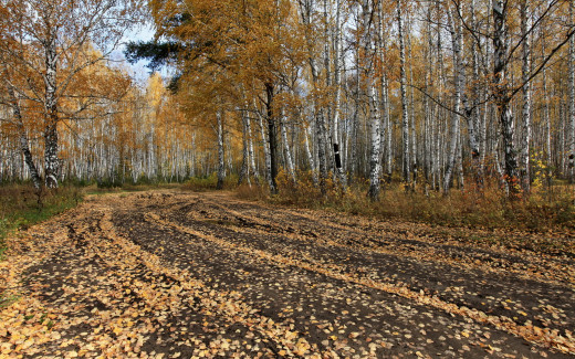 606999 (a): :2560x1600